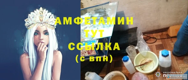 индика Балабаново