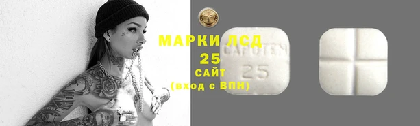 индика Балабаново