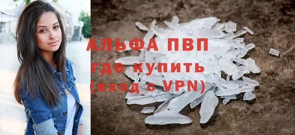 индика Балабаново