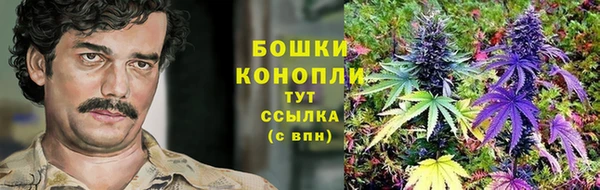 индика Балабаново
