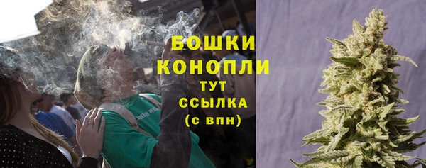 индика Балабаново
