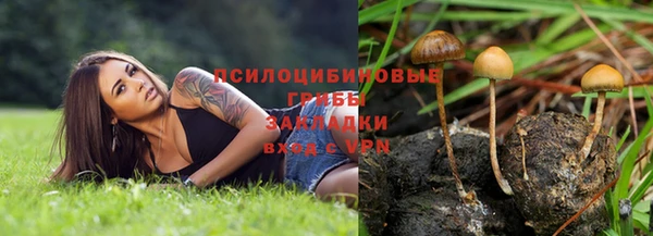 индика Балабаново