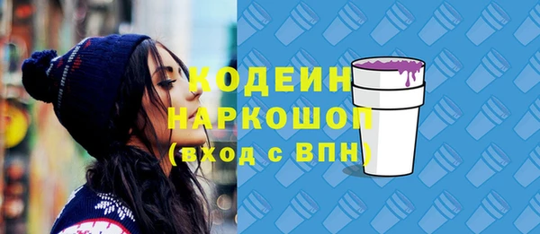 индика Балабаново